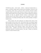 Pažinimas ir Platono pažinimo teorija 3 puslapis