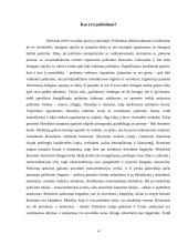 Pažinimas ir Platono pažinimo teorija 4 puslapis