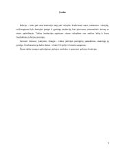 Policijos komisariatas 2 puslapis