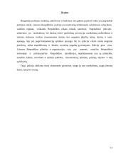 Policijos komisariatas 12 puslapis