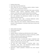 Policijos komisariatas 10 puslapis