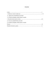 Policijos darbas 2 puslapis