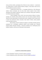 Policijos darbas 11 puslapis