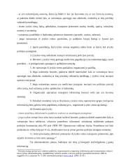 Policijos darbas 5 puslapis