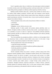 Policijos darbas 6 puslapis