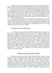 Politinių žmogaus teisių raida 5 puslapis