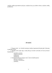 Politinių žmogaus teisių raida 8 puslapis