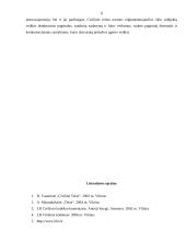 Prekybos agento veiklos reguliavimas civiliniame kodekse 12 puslapis