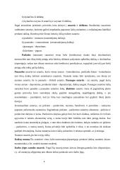 Prievolės rūšys 4 puslapis