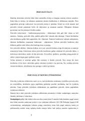 Prievolės rūšys 8 puslapis