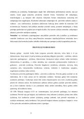 Prievolės rūšys 9 puslapis