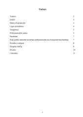 Priklausomybė nuo kompiuterio 2 puslapis