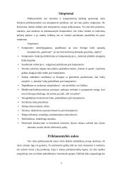 Priklausomybė nuo kompiuterio 5 puslapis