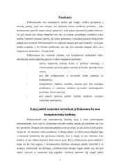 Priklausomybė nuo kompiuterio 7 puslapis