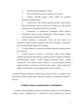 Privatūs ir viešieji juridiniai asmenys 5 puslapis