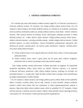 Juridinių asmenų samprata, privatūs ir viešieji juridiniai asmenys 16 puslapis