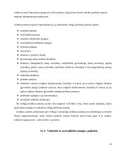 Juridinių asmenų samprata, privatūs ir viešieji juridiniai asmenys 19 puslapis