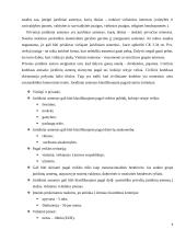 Juridinių asmenų samprata, privatūs ir viešieji juridiniai asmenys 6 puslapis