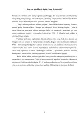 Psichologijos mokslo atsiradimas 6 puslapis