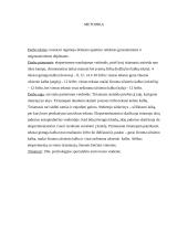 Regimojo dėmesio apimties priklausomybės tyrimas 4 puslapis