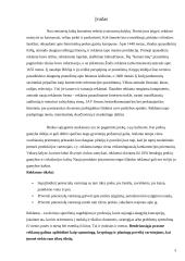 Reklamos etika bei teisinis reglamentavimas 3 puslapis