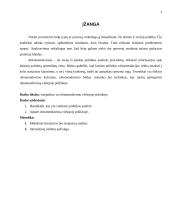 Rekomendavimas viešojoje politikoje 2 puslapis