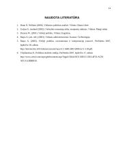 Rekomendavimas viešojoje politikoje 13 puslapis