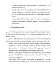 Rekomendavimas viešojoje politikoje 7 puslapis
