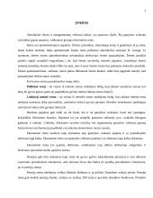 Renta ir rentos sutartys 3 puslapis