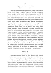 Ribos samprata Aristotelio "Metafizikoje" 5 puslapis