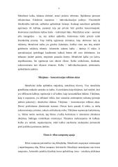 Ribos samprata Aristotelio "Metafizikoje" 6 puslapis