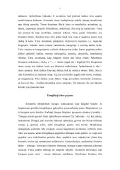 Ribos samprata Aristotelio "Metafizikoje" 7 puslapis