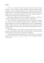 Ribotos bei neribotos civilinės atsakomybės juridiniai asmenys 2 puslapis