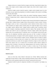 Ribotos bei neribotos civilinės atsakomybės juridiniai asmenys 11 puslapis