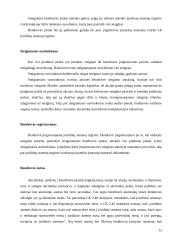 Ribotos bei neribotos civilinės atsakomybės juridiniai asmenys 12 puslapis