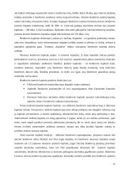 Ribotos bei neribotos civilinės atsakomybės juridiniai asmenys 13 puslapis