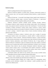 Ribotos bei neribotos civilinės atsakomybės juridiniai asmenys 15 puslapis