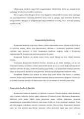 Ribotos bei neribotos civilinės atsakomybės juridiniai asmenys 17 puslapis