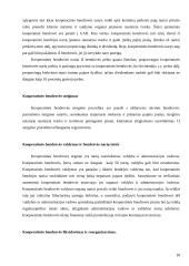 Ribotos bei neribotos civilinės atsakomybės juridiniai asmenys 18 puslapis