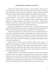 Ribotos bei neribotos civilinės atsakomybės juridiniai asmenys 3 puslapis