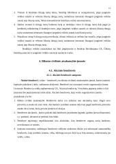 Ribotos bei neribotos civilinės atsakomybės asmenys 12 puslapis