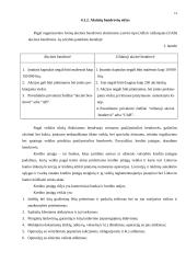 Ribotos bei neribotos civilinės atsakomybės asmenys 13 puslapis