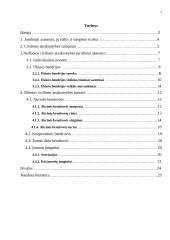 Ribotos bei neribotos civilinės atsakomybės asmenys 2 puslapis