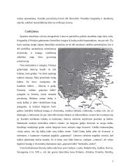 Rytų Lietuvos slavėjimas XIX amžiuje 4 puslapis