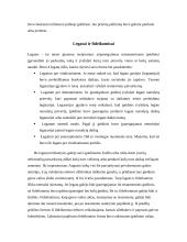 Romėnų šeimos ir paveldėjimo teisė 14 puslapis