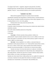 Romėnų šeimos ir paveldėjimo teisė 3 puslapis