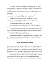 Romėnų šeimos ir paveldėjimo teisė 5 puslapis