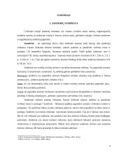 Sandoriai teisėje 4 puslapis