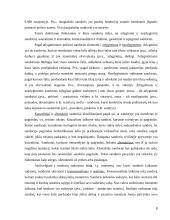 Sandoriai teisėje 8 puslapis