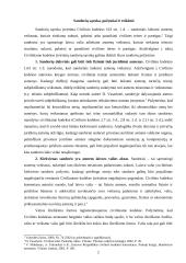 Sandorių požymiai, klasifikacija forma bei negaliojimas 3 puslapis